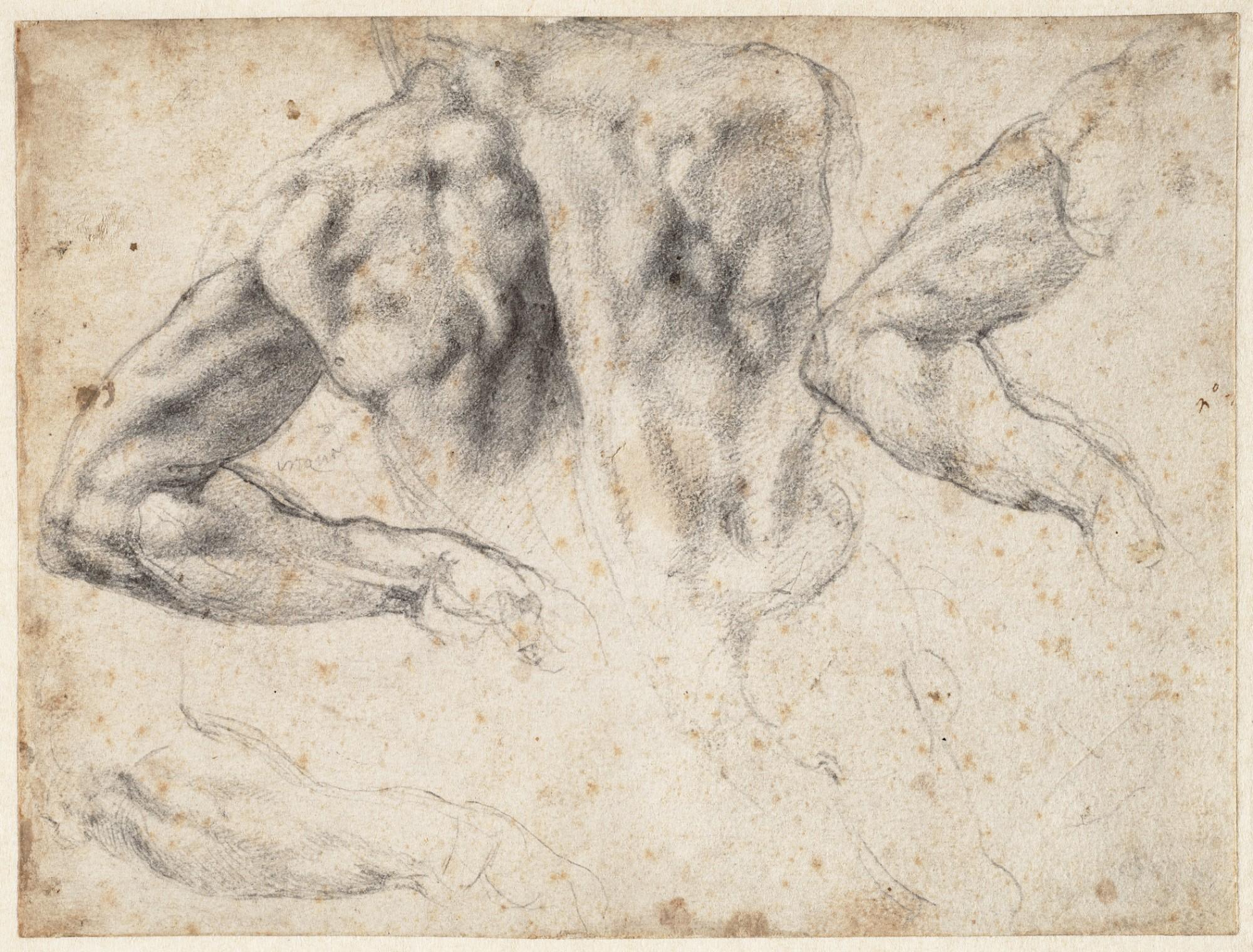 Michelangelo Mind of the Master Art & Object