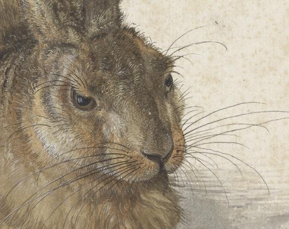 Reframed: Albrecht Dürer's “Young Hare” | Art & Object