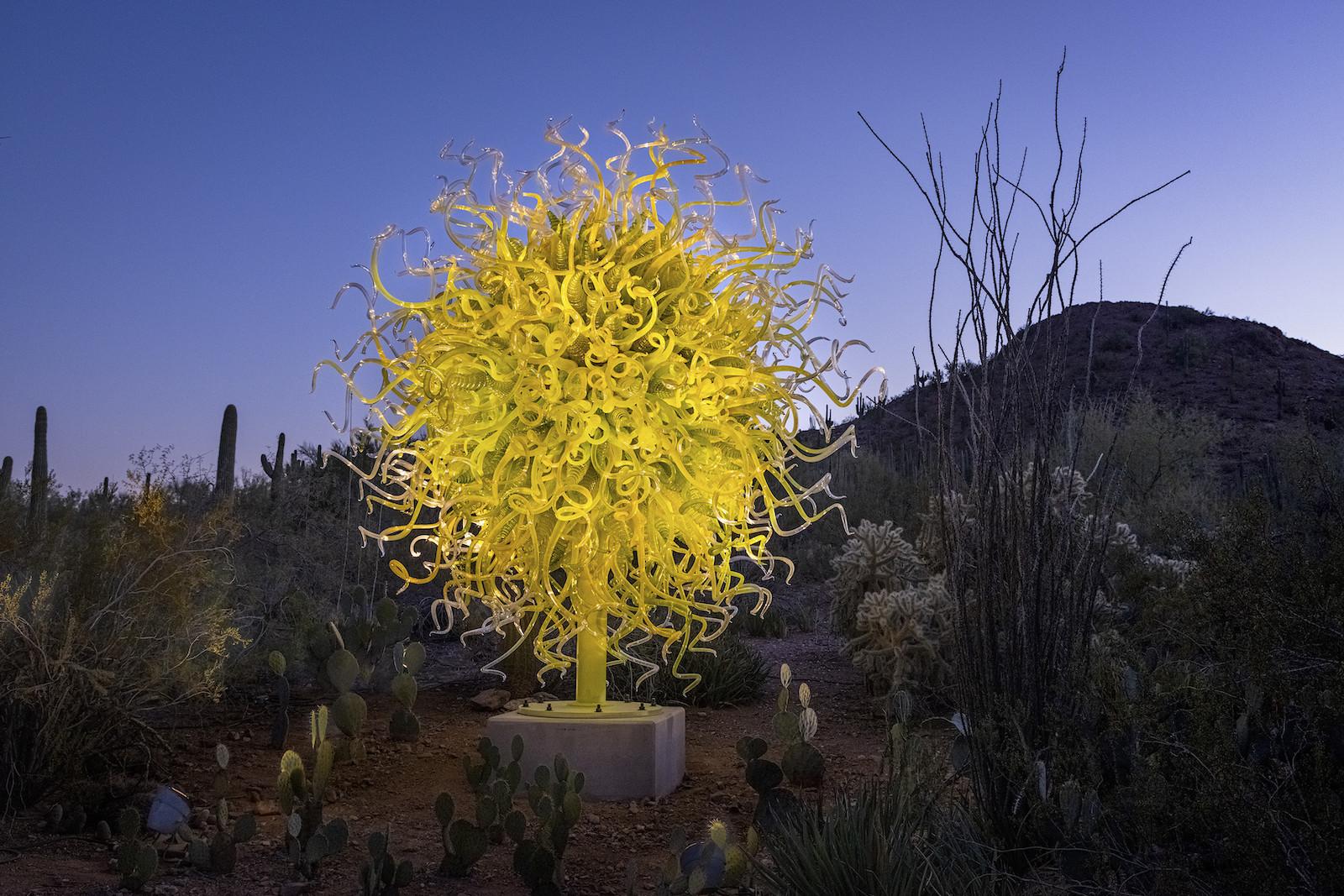 Chihuly’s Glass Sculptures Sparkle in Desert Showcases Art & Object