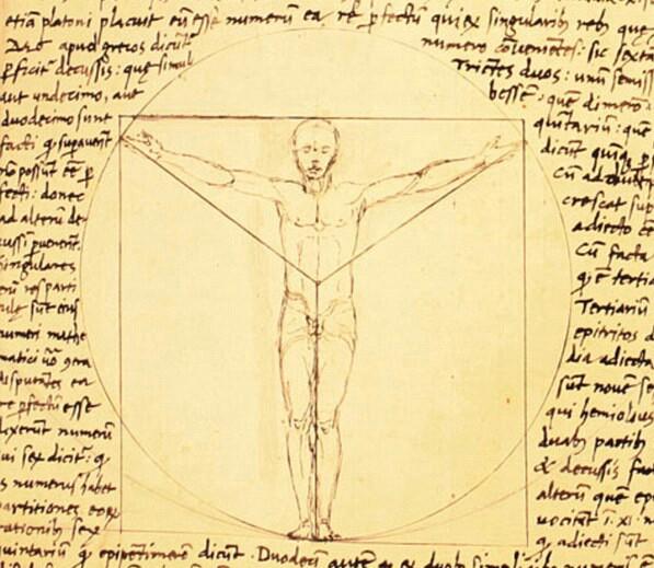 The History And Influence Of Da Vinci’s Vitruvian Man Art And Object