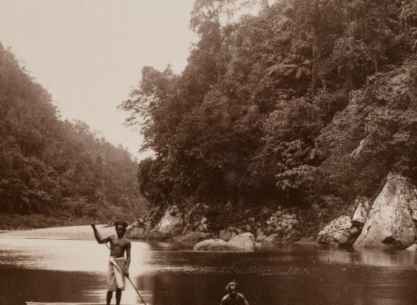 Navua River Scene, Fiji