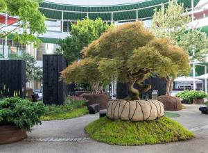 Nature Installation, The Living Fragment: Enea Tree Museum at at the Rundhof of Art Basel 2026.